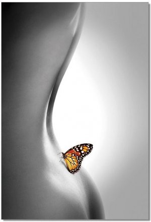 Butterfly - SB6889