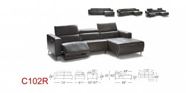 C102R Motion Leather Sectional