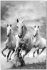 Galloping Horses - SB - 61081