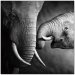Mama Elephant - SB-61166